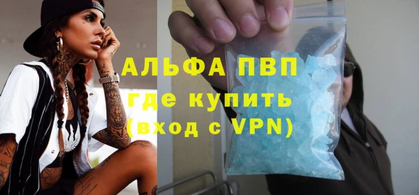 индика Беломорск