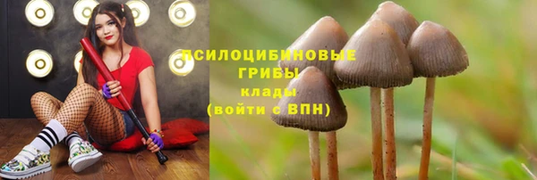 кокаин колумбия Белокуриха