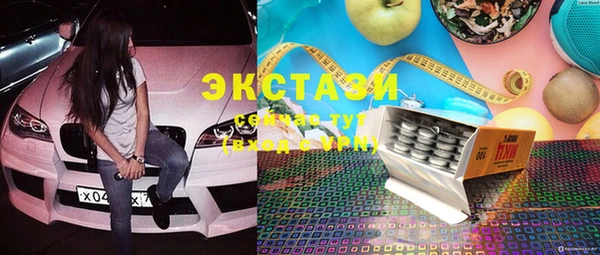индика Беломорск
