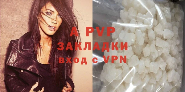 индика Беломорск