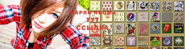 индика Беломорск