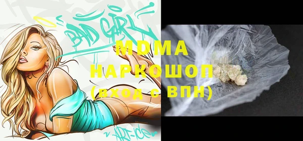 индика Беломорск