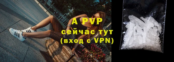 индика Беломорск